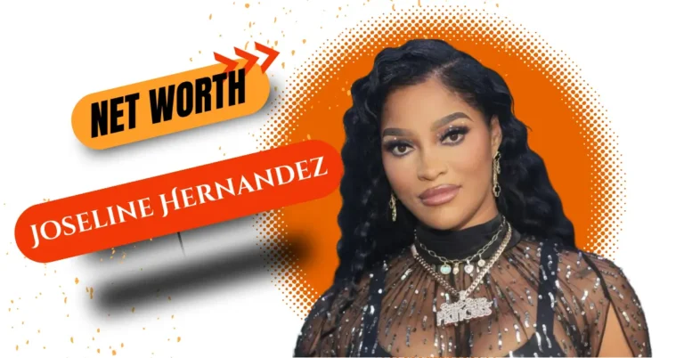 Joseline Hernandez Net Worth